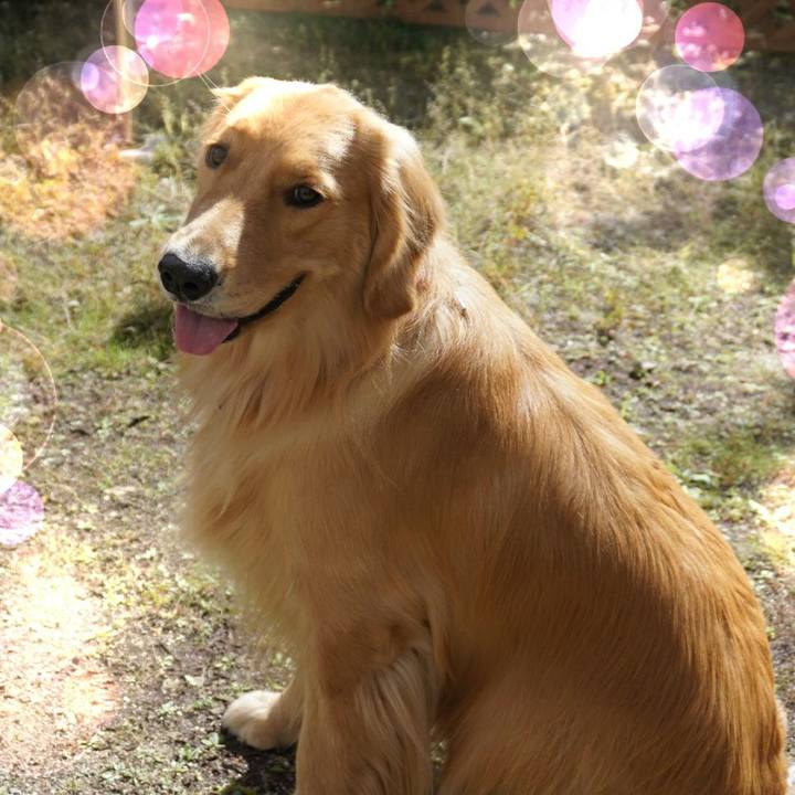 02a83632 1c79 40f1 9b86 063015c94dd9 1587205133065