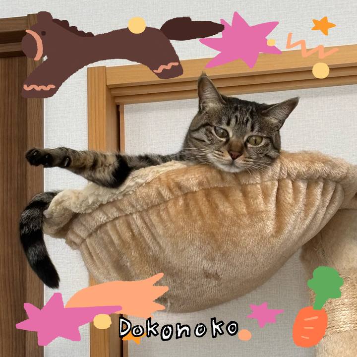 02a87ad7 c0f9 4b83 ba4c 3ad2dd29220d 1772420246185