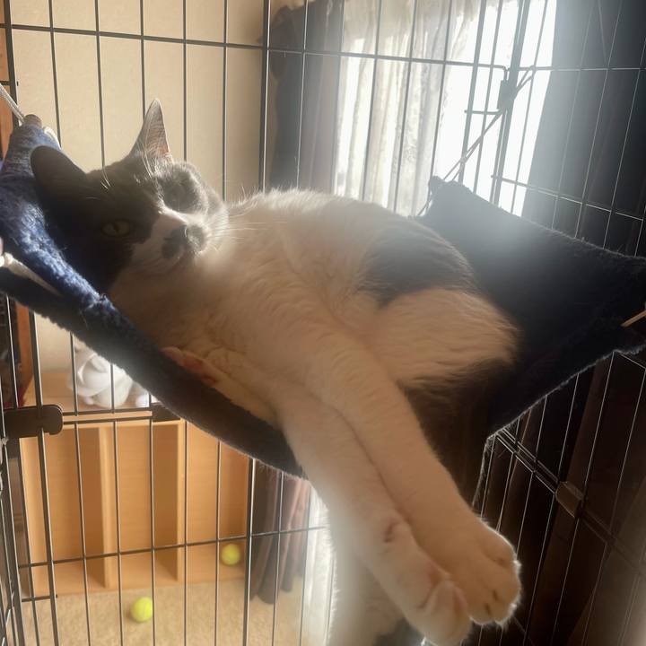 02a8a888 9728 4057 b55a dc803898b33b 1673393448298