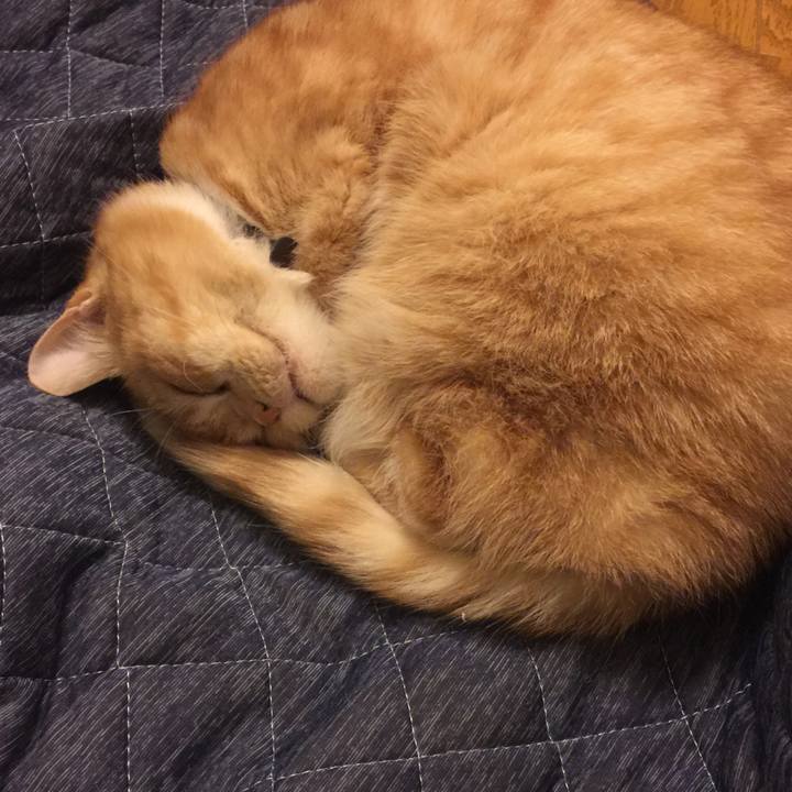 02a8bed5 d0f7 4939 bb16 c39b7abb831c 1548534339246