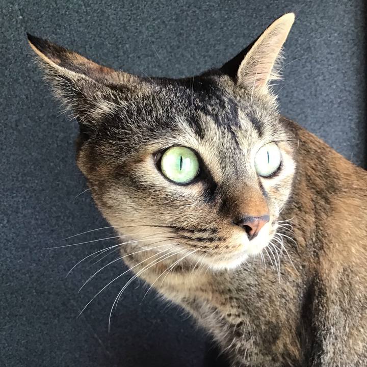 02a8c1f9 56b2 4e85 b179 474c4e3670d5 1658976908654