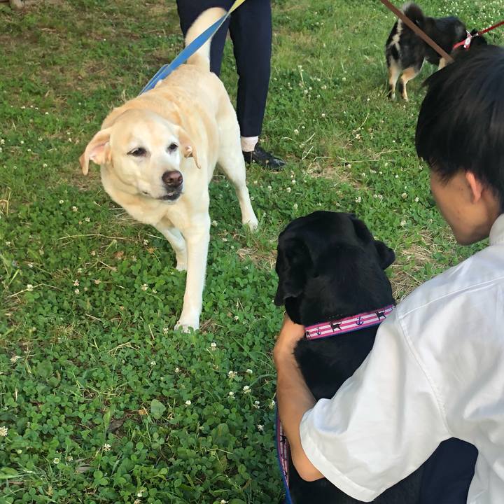 02a91d40 5384 49ee 852c c7e8c4b7c985 1559745669733