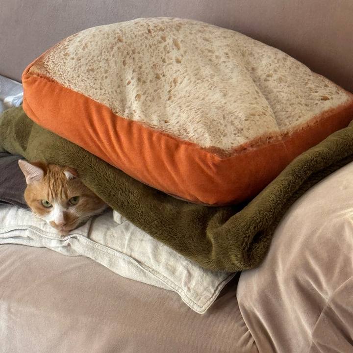 02a91e71 fe17 4806 9bbf 302d9e4c576e 1763346862142