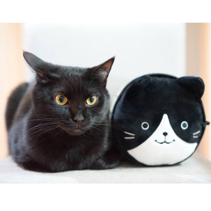 02a92975 9526 49a2 9382 67e84702a503 1557218842109