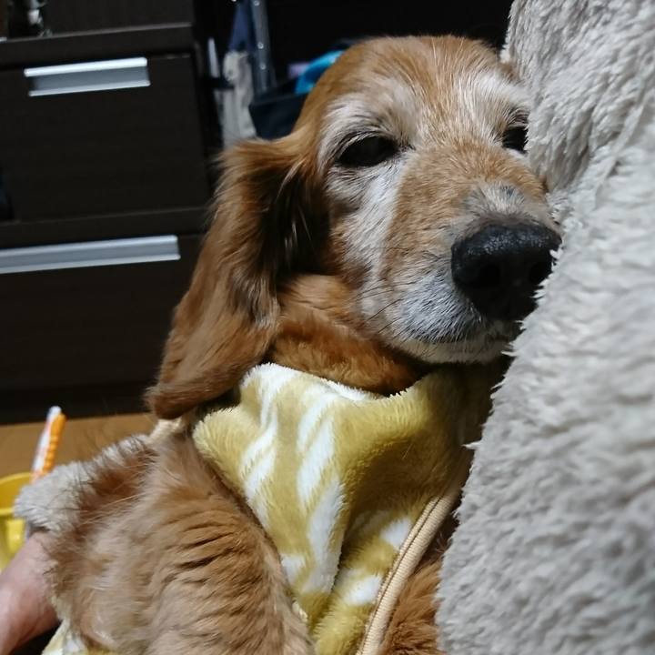 02a96951 d76c 400a bbc3 8bf38b7c3364 1517850152340