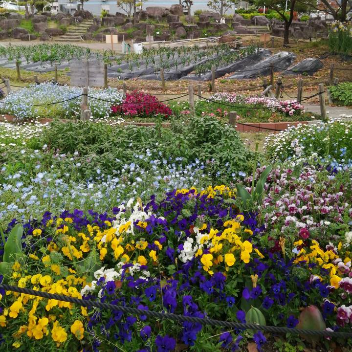 02a9b2e8 92db 4239 9073 889bf46bb783 1618387050043