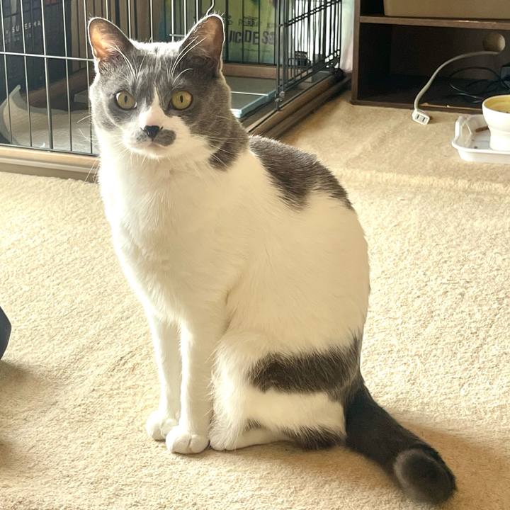 02a9c3af af65 4d7f a714 89128b7ce322 1647658418821