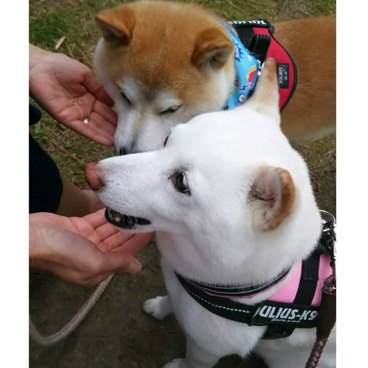 02aa082a 348c 43ff bba9 ec97aec553fd 1527672488984