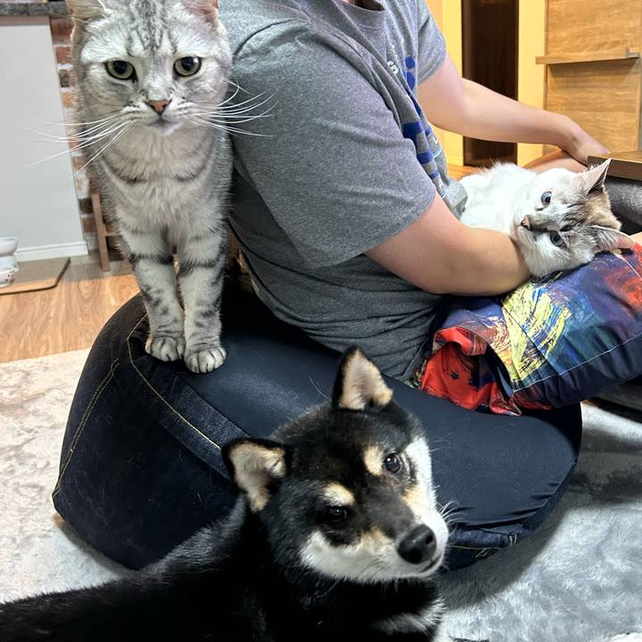 02aa880a ab4c 4feb 8dc3 a42329b1bf9c 1685101717263