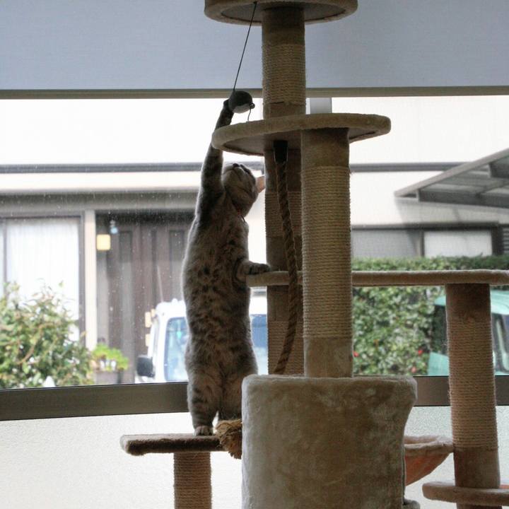 02aa9240 a738 44c7 abc5 80d17e2afbf7 1509413024728