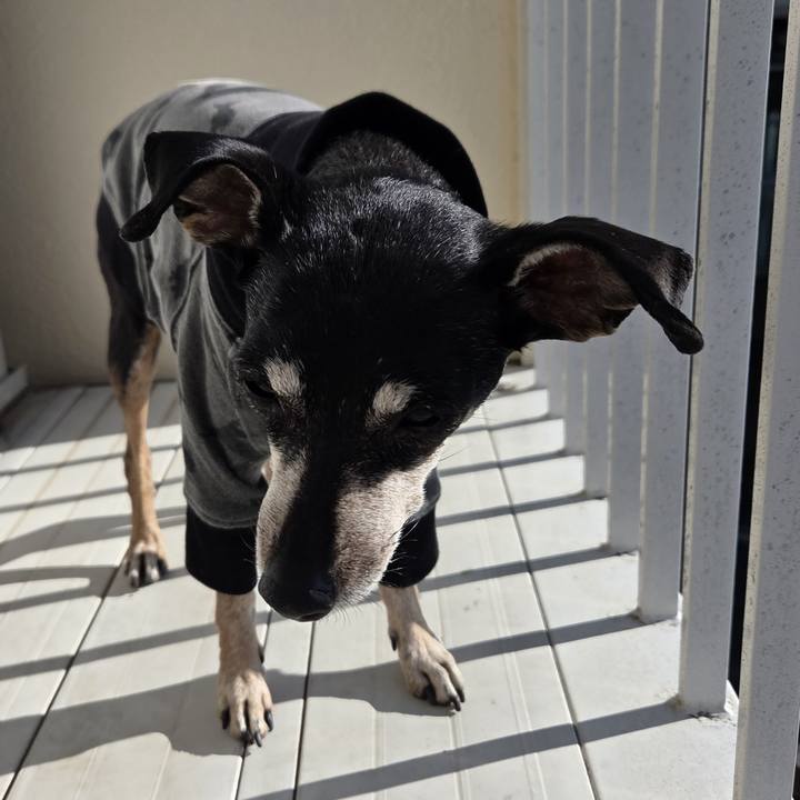 02aab675 9488 4a14 88d3 cbc139ee7494 1767587568767