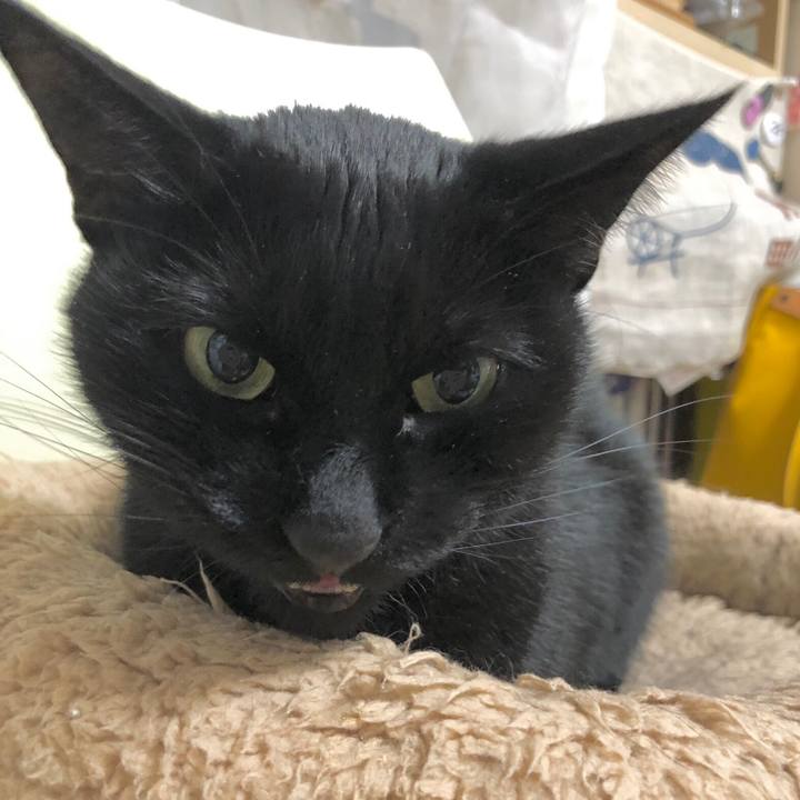 02ab1aaf 7a64 4415 9419 b424a81dab5e 1638788640489