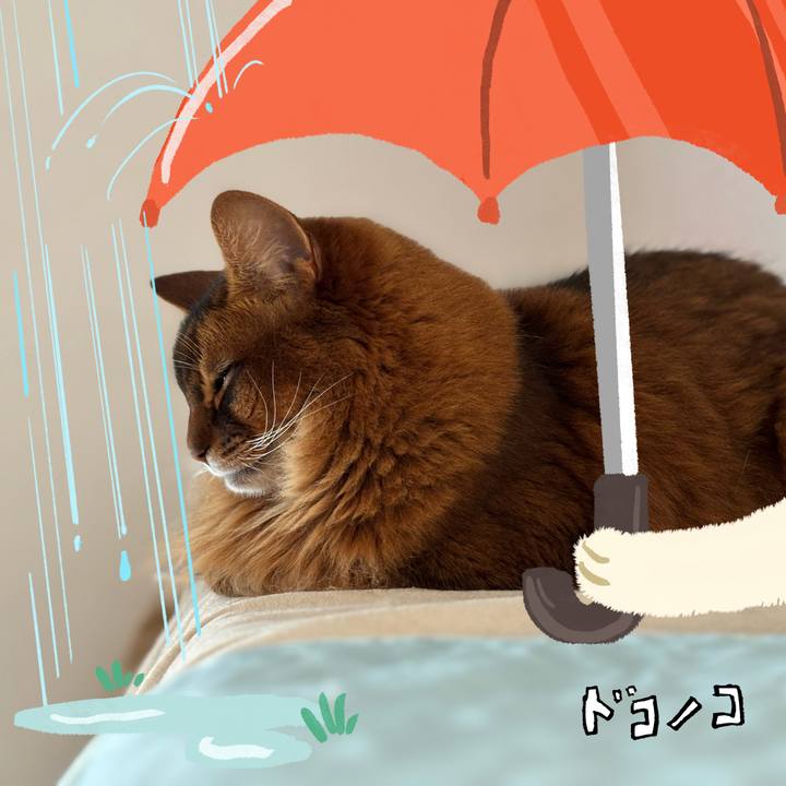 02ab2152 6672 40e0 931e 83119da3d762 1749131833090