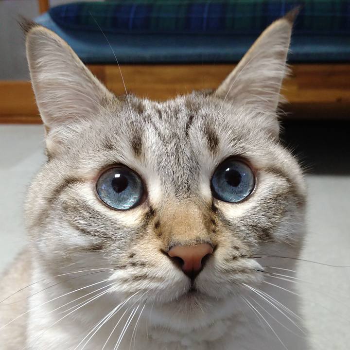 02ab55f0 92a3 4904 b095 d62358e47540 1668771075650