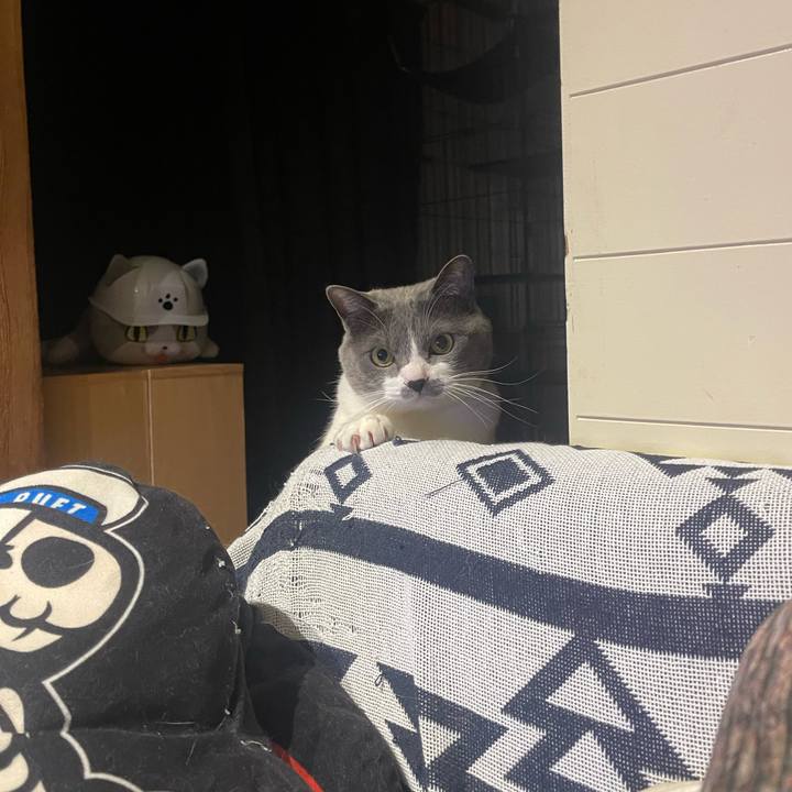 02ab5914 725f 4c13 9872 2faee4ee7ff0 1677406144409