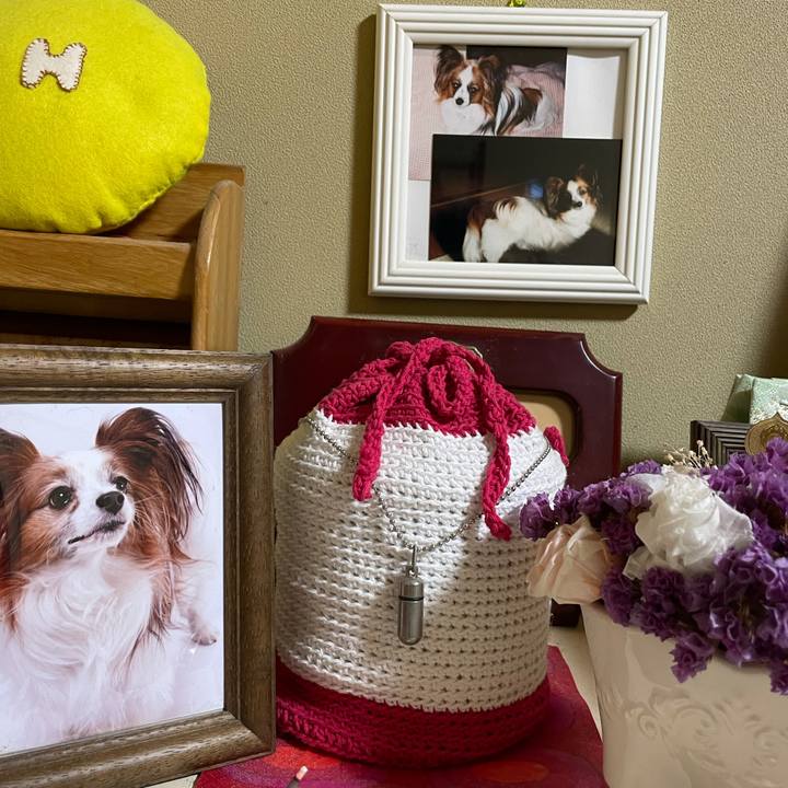 02abac6e a604 44e4 a9e5 6bb984bc2b58 1607856807842