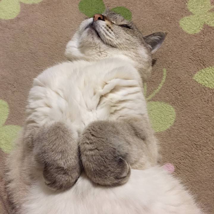 02abbb6b 90d7 4fc4 803b 8fe311a58df4 1556020421641