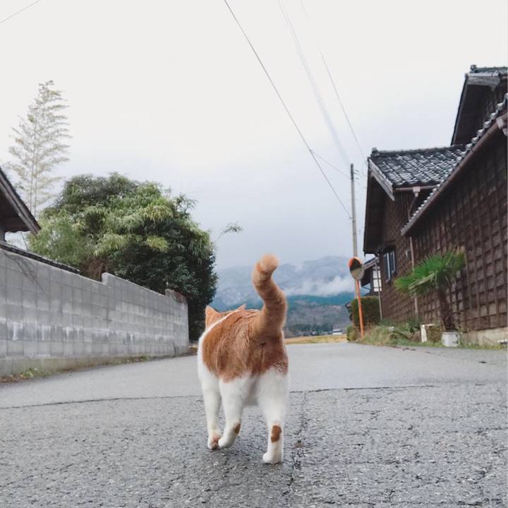 02abbc66 d4e5 469f 852e aec15e3729ac 1545021483625