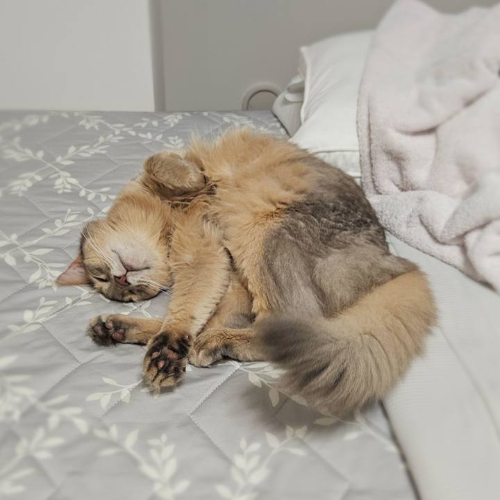 02ac1295 0707 4316 b4fe d64e84dc2569 1757049224013