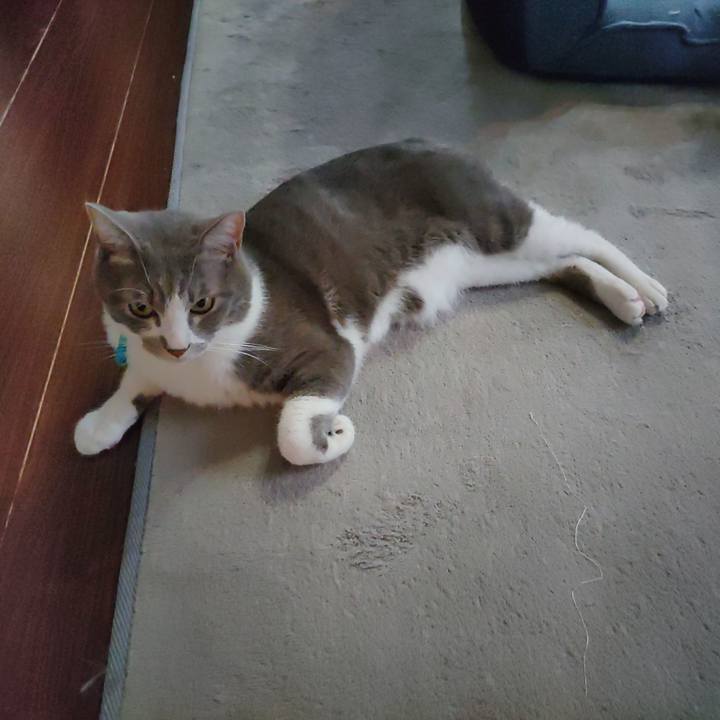 02ac5b5d 643f 4099 9217 e992e3eabd74 1661725718488