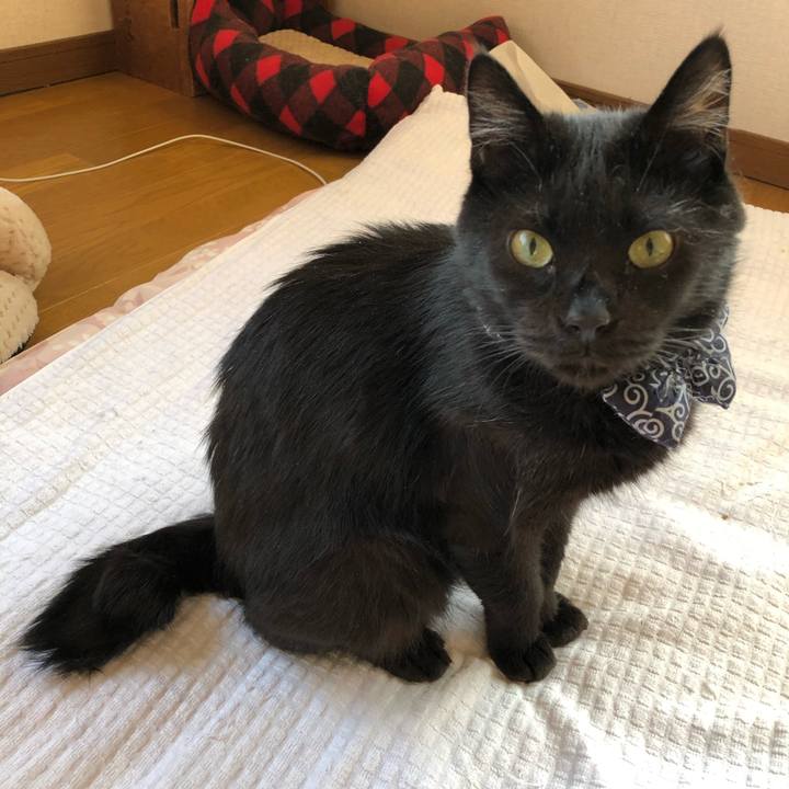 02ac66df e6da 4c23 a25d cfa6448f08c9 1557349583116