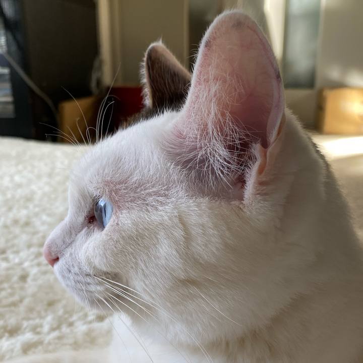 02acb7c8 79c0 4c24 86a5 2636227ec779 1673309540368