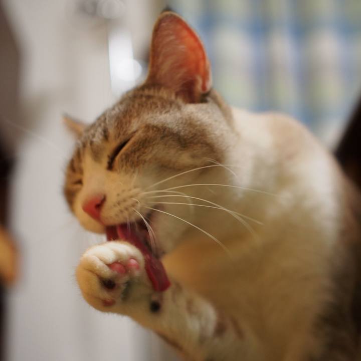 02ad09b0 8e97 4139 bc31 b557da77875e 1550329726833