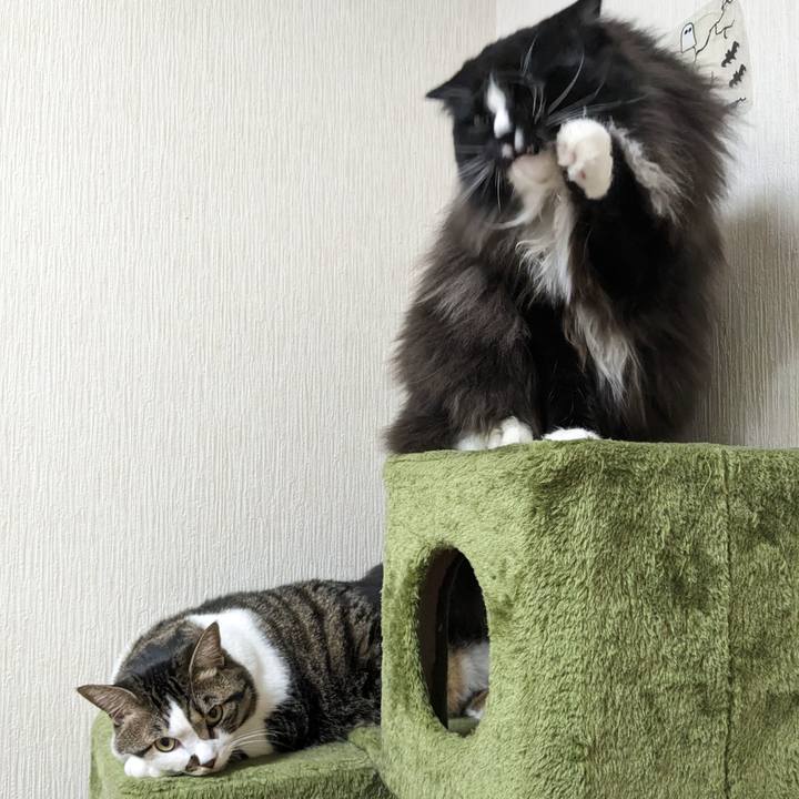 02ad10af b858 409c a619 033edc77c950 1692536431378