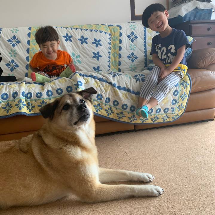 02ad7662 4eb6 4b38 9611 f244e14e9ab1 1597121458309