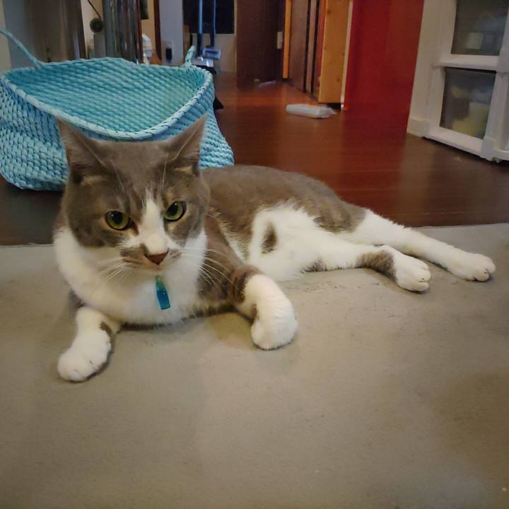 02adbbb3 e8fe 44ed aa9c 1d73e45d5eec 1663984495154