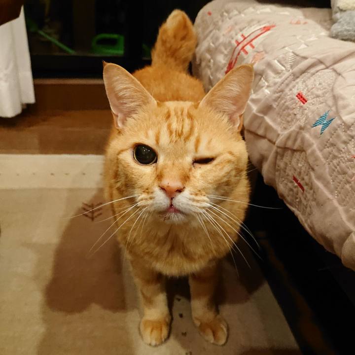 02ade1e5 582a 453c 87f9 1ae81e240738 1607389694539