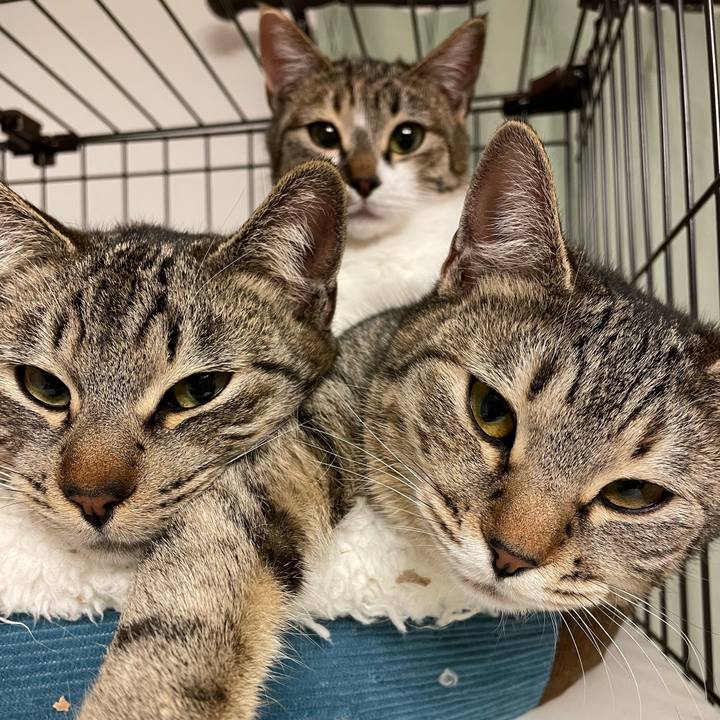 02adeec7 3001 4f27 8441 4200b289e533 1644147953865