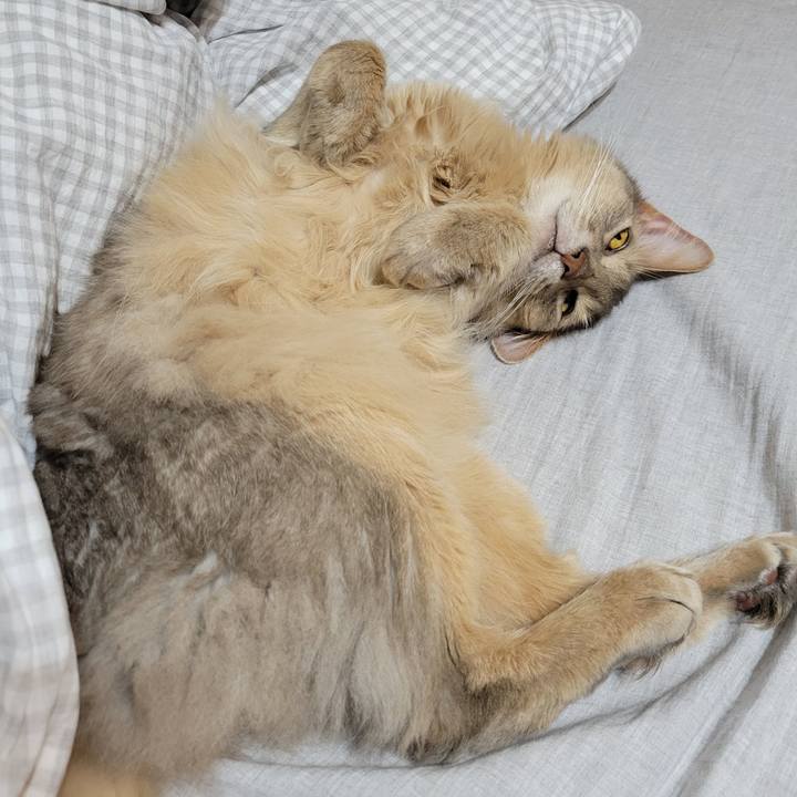 02adf554 ba80 46c4 ba19 8b6b3ec36b6f 1654523848855