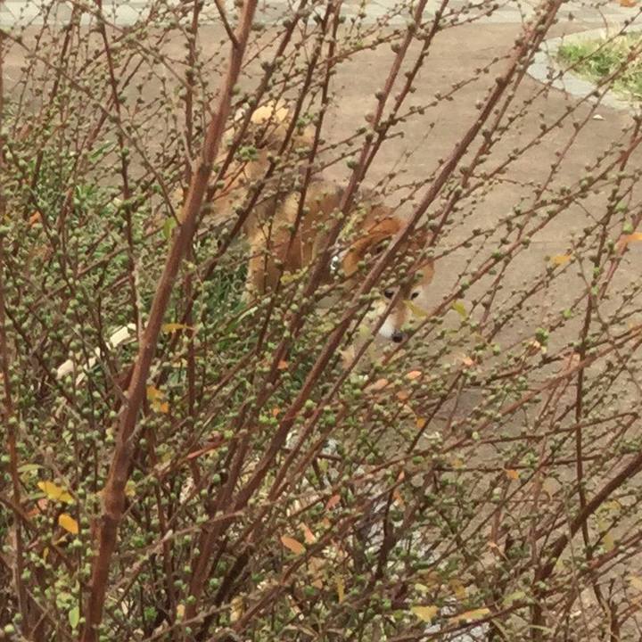 02ae33b9 d779 440b 8a5e 0445c9f02a78 1580787635297