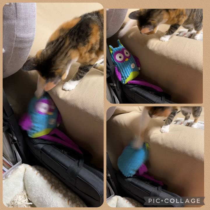 02ae3bc2 f70e 4b79 b658 955d5671ec94 1661264357099