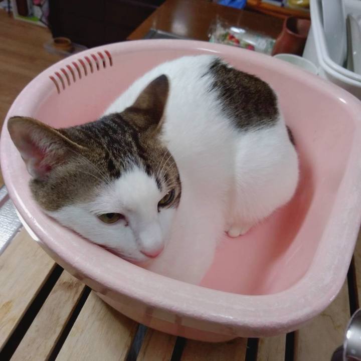 02ae7c7d 6cdb 4e06 93f0 c131971dd693 1677320947221