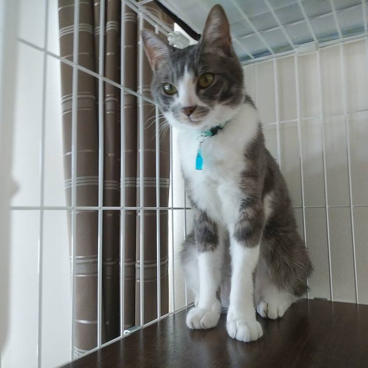 02ae83b7 b5d8 493c 905f b95759d2935b 1591676476473