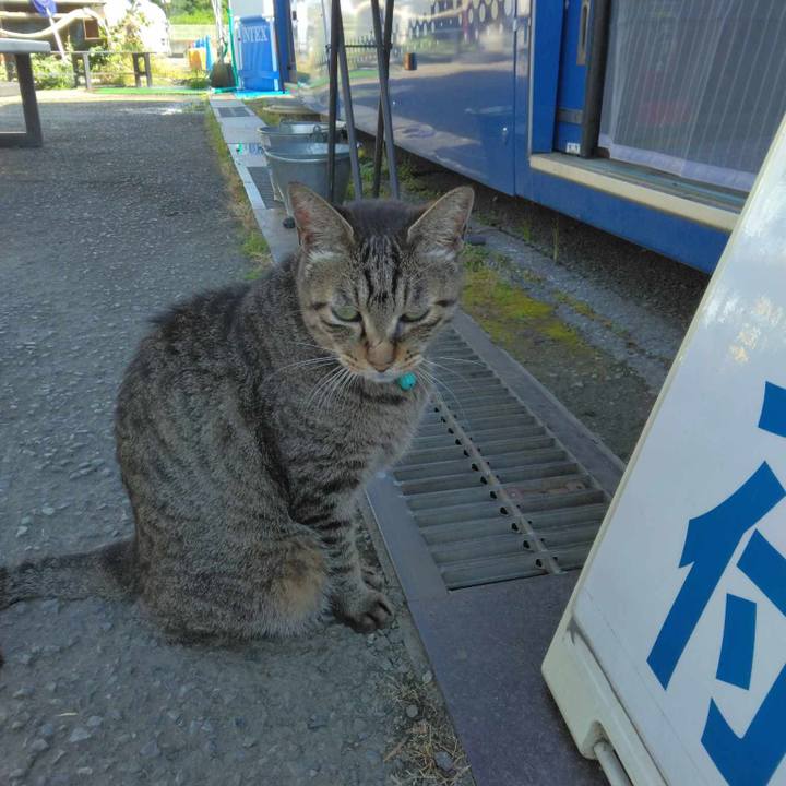 02ae970a e307 44c4 9b52 ae2649f3056d 1690242151299