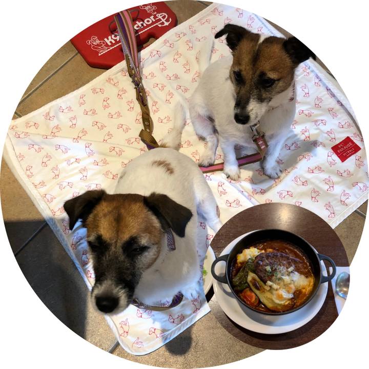 02ae9d7e 9adf 49f3 af12 f1590b5d3c15 1600603195211