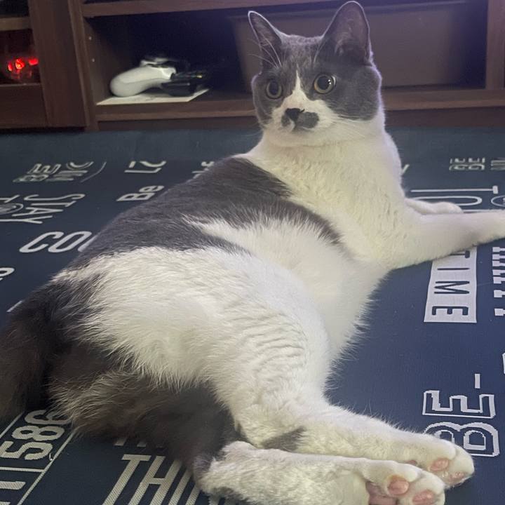 02aeb82a accc 4e4c 8a25 90eace4e747d 1692349855847