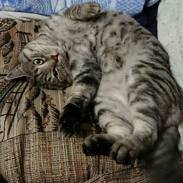 02aecf41 9a08 442f afd2 5b7688ccebfb 1512986980215