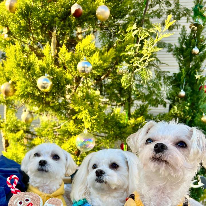 02aedc4e 25e5 4287 b360 c021a8c33e97 1671084067976