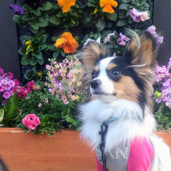 02af1598 72a4 427c ad92 39b39bb03dc7 1614659927543