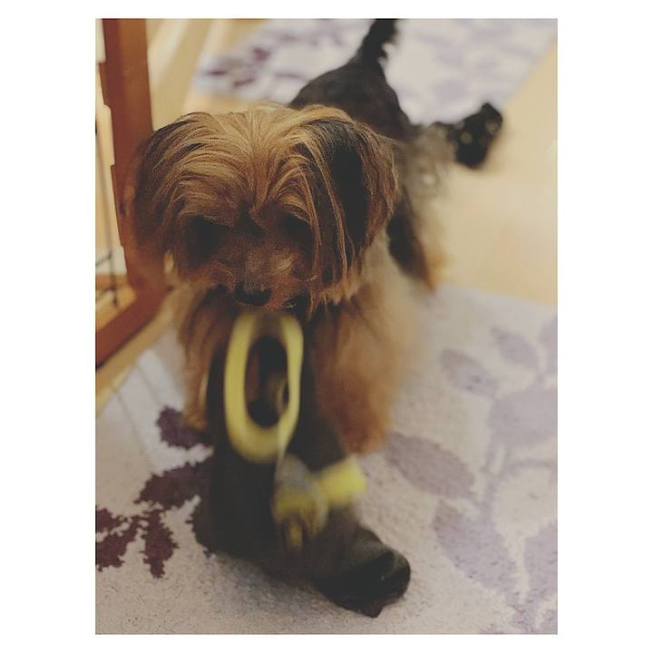 02af4334 02f6 425c aa6c 51f965b0adf3 1572909303445