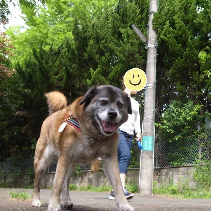 02af662c c256 4f86 bb3f 65163bf170f6 1605919045094