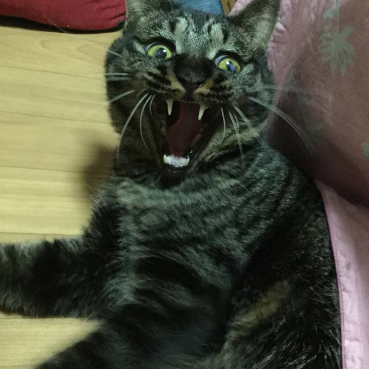 02af7cb7 f611 4736 8ea4 c463c1ec9f78 1583909806804