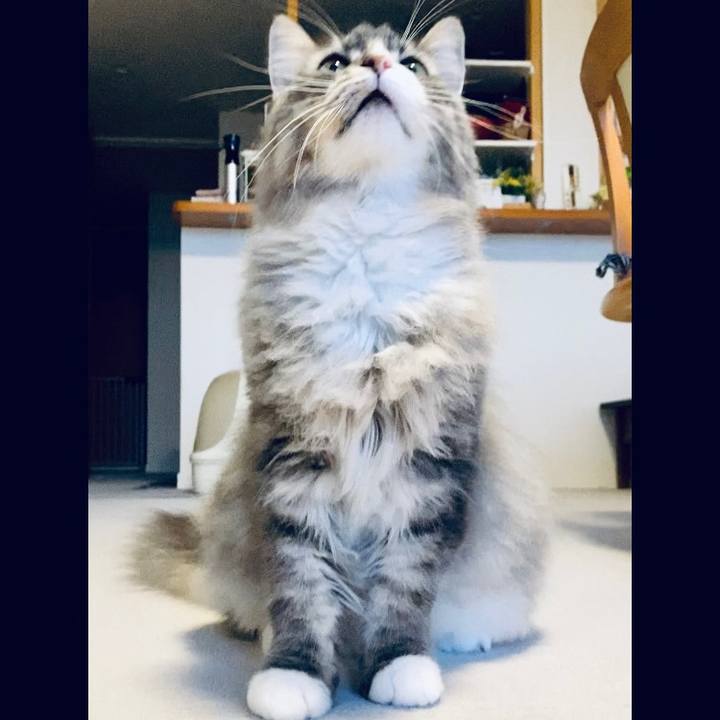 02af8e84 344f 4e69 a44c f48682b5f755 1656870280426