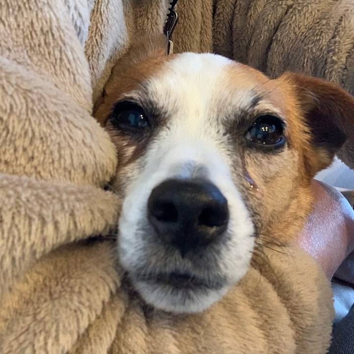 02afe795 825b 4084 b7b7 fa075e5ac4f9 1646122106240