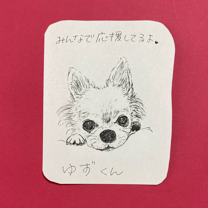 02b013f3 6a05 4e59 b4a9 1b70afd5cda4 1618879520130