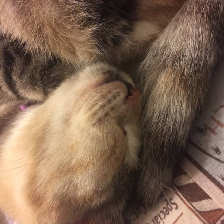 02b02d8b d195 4577 85ec e68bffa6c173 1553010911810